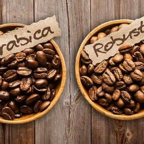 Washed Arabica green coffee beans S16/18