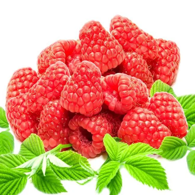 Cheap price fresh strawberries for sale