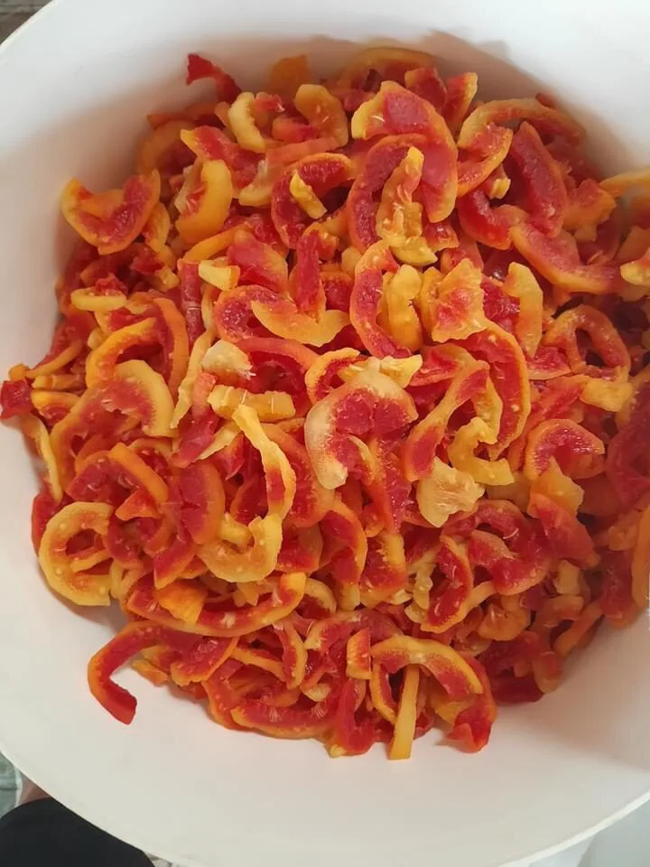 Best Dried Papaya Price From Vietnam Wholesaler-Tasty Nutritious Pawpaw Snack