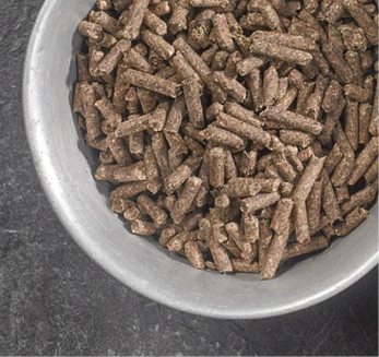 Top Grade Sugar Beet Pulp Pellets Bulk Quantity Low Price Sugar Beet Pulp Pellets Available