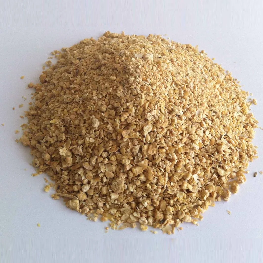 Soybean/Soy Bean/Soybean Meal Hot Sales Animal Food Soya Bean Grain Meal for Animal Feed High Protein Bangladesh Supplier