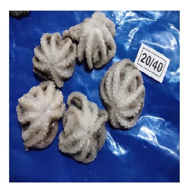 frozen baby octopus cleaned from India, Octopus cleaned IQF
