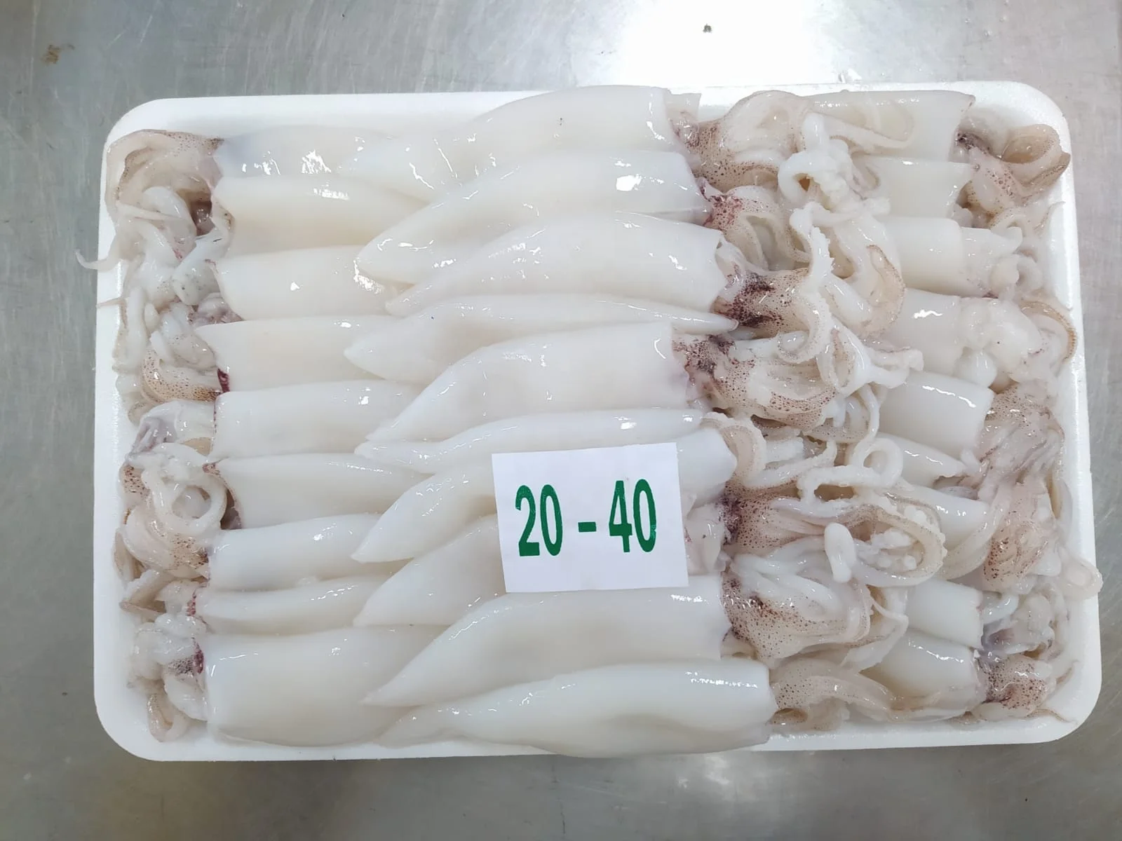 Высококачественный замороженный цельный очищенный кальмар из Индонезии со стандартной упаковкой, срок годности 24 месяца