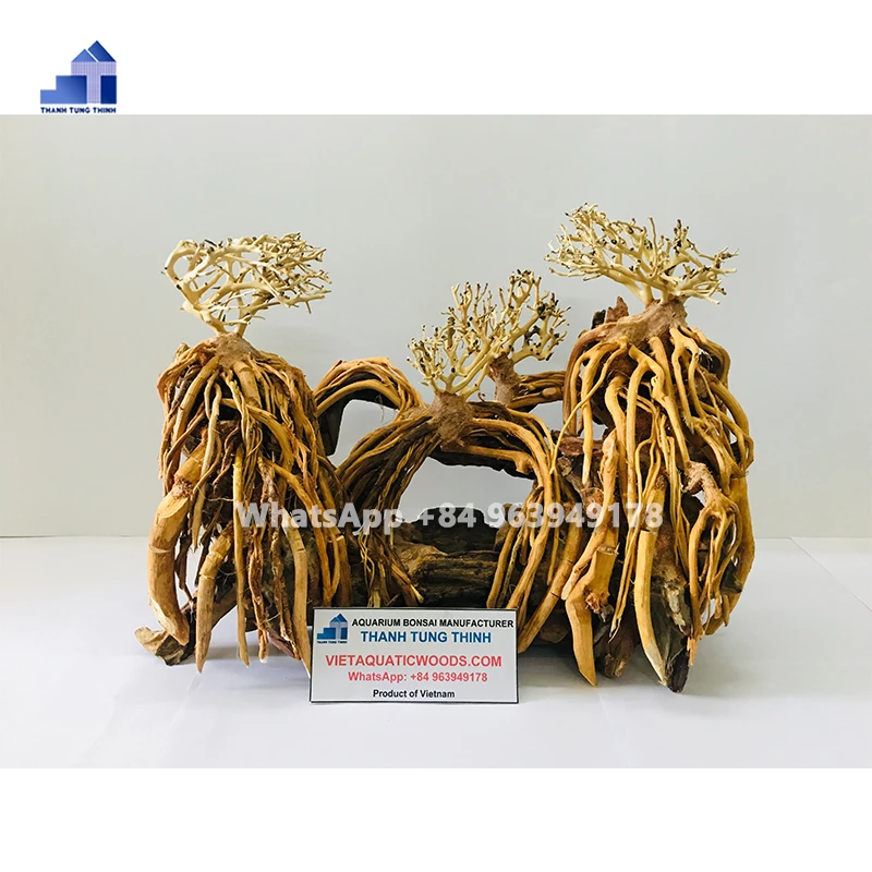 2024 лучшие товары бонсай коряги для украшения аквариума по доступной цене WhatsApp 84 961005832