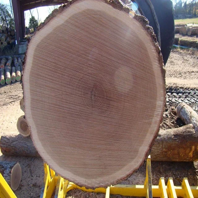 Cedar Wood Round Logs Peeled Logs and poles