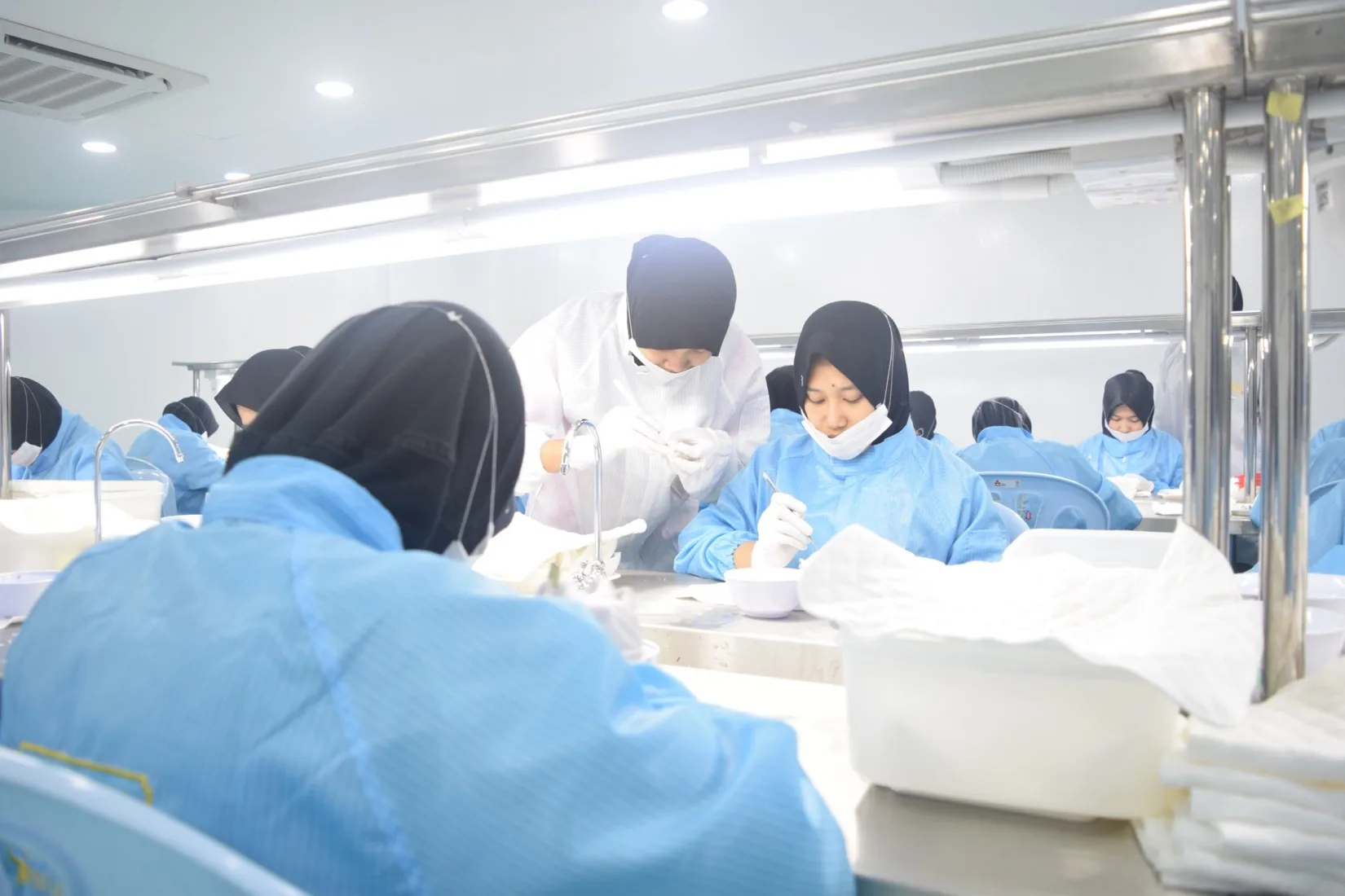 
Top Bottom part of Edible Bird Nest / Cubilose / Da Yan Jiao (horn) 