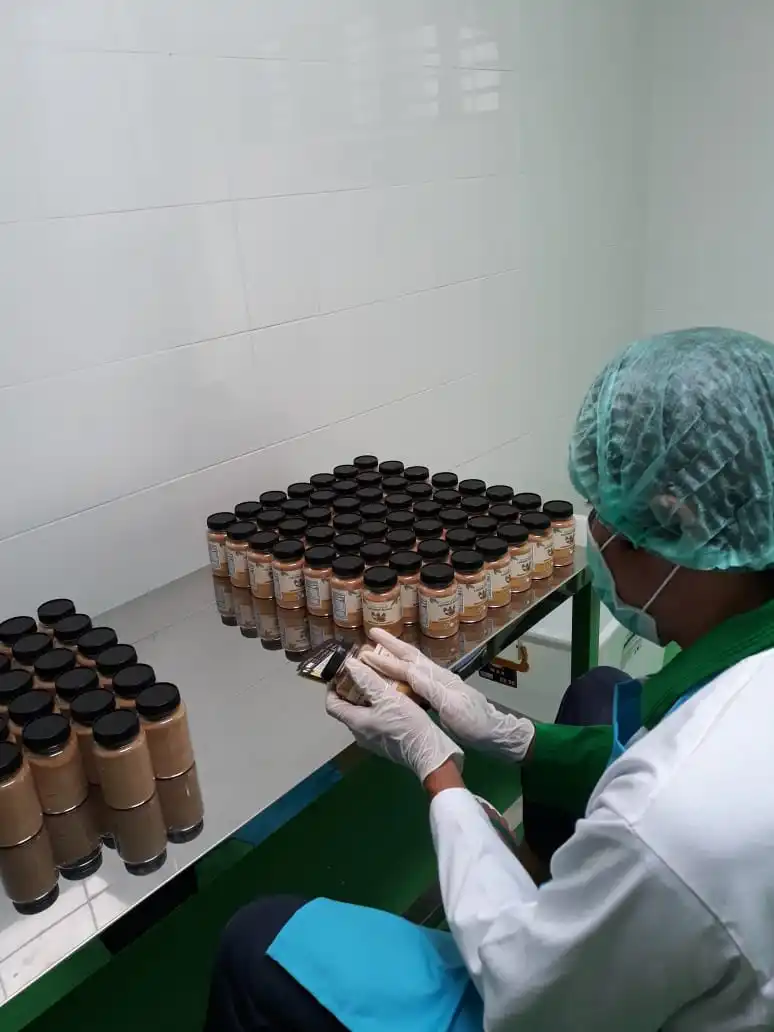 Кокосовая пальма из индонезии хорошая цена и