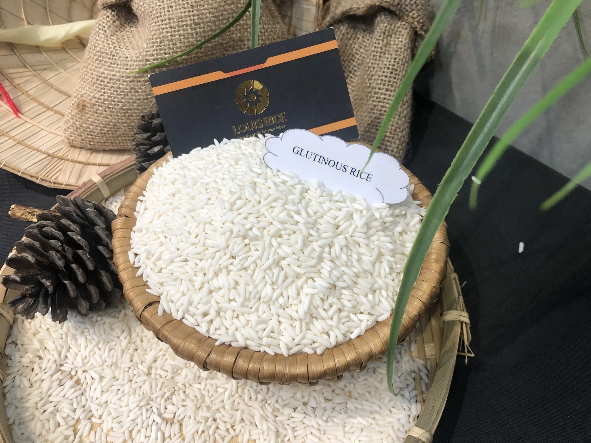 Лидер продаж 10% Сломанный глютиновый рис Long An