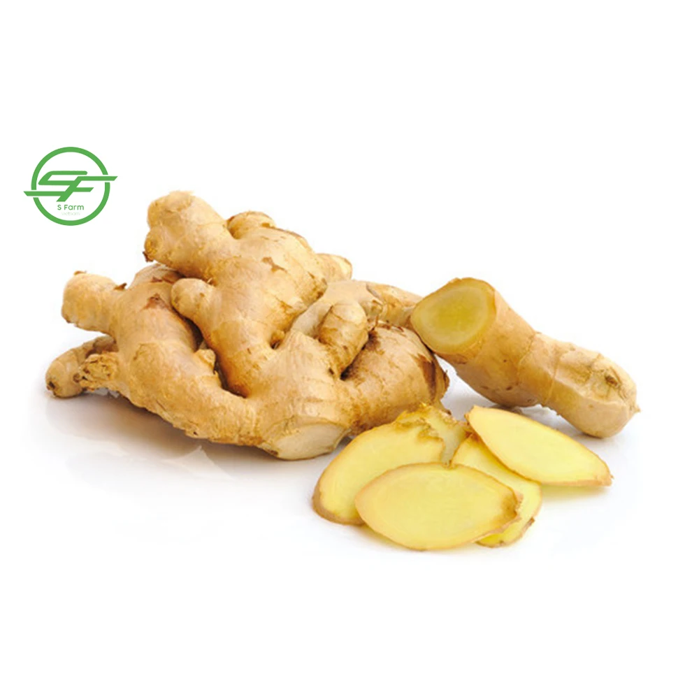 Wholesale Ginger Fresh From Vietnam