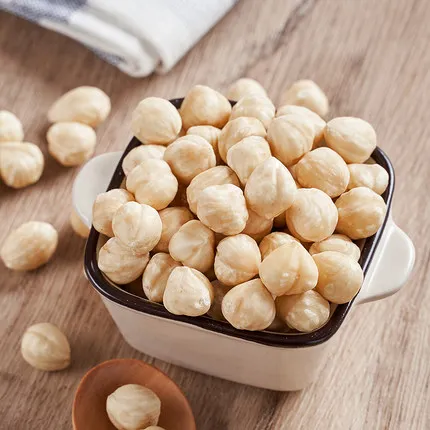 Raw Hazelnut / Organic Grade Hazelnut Premium Fresh Raw Hazelnuts in Shell