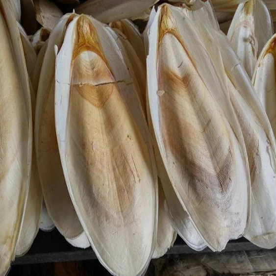 
Hot sale dried cuttlefish bone/ cuttlefish from factory( MS.HOLIDAY Whatsapp +84-845-639-639 ) 