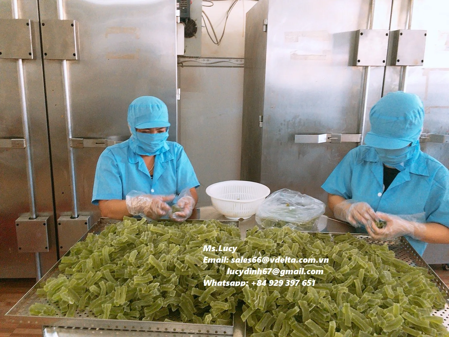  Органический и полезный морской Мох/ирландские жевательные резинки из Вьетнама (г-жа Люси + 84 929 397 651)