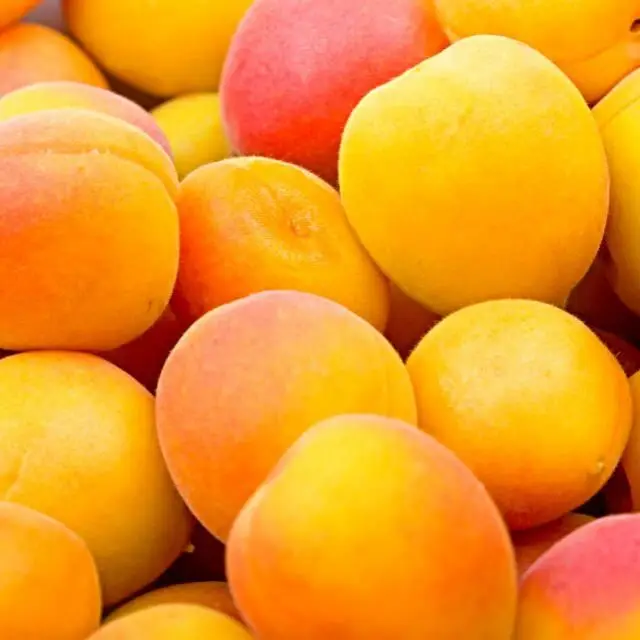 
Fresh Apricot Top Quality Fresh Apricot, Organic Fresh Apricot, Fresh Dried Apricot Fruit Organic Fresh Apricots/Dried Apricots 