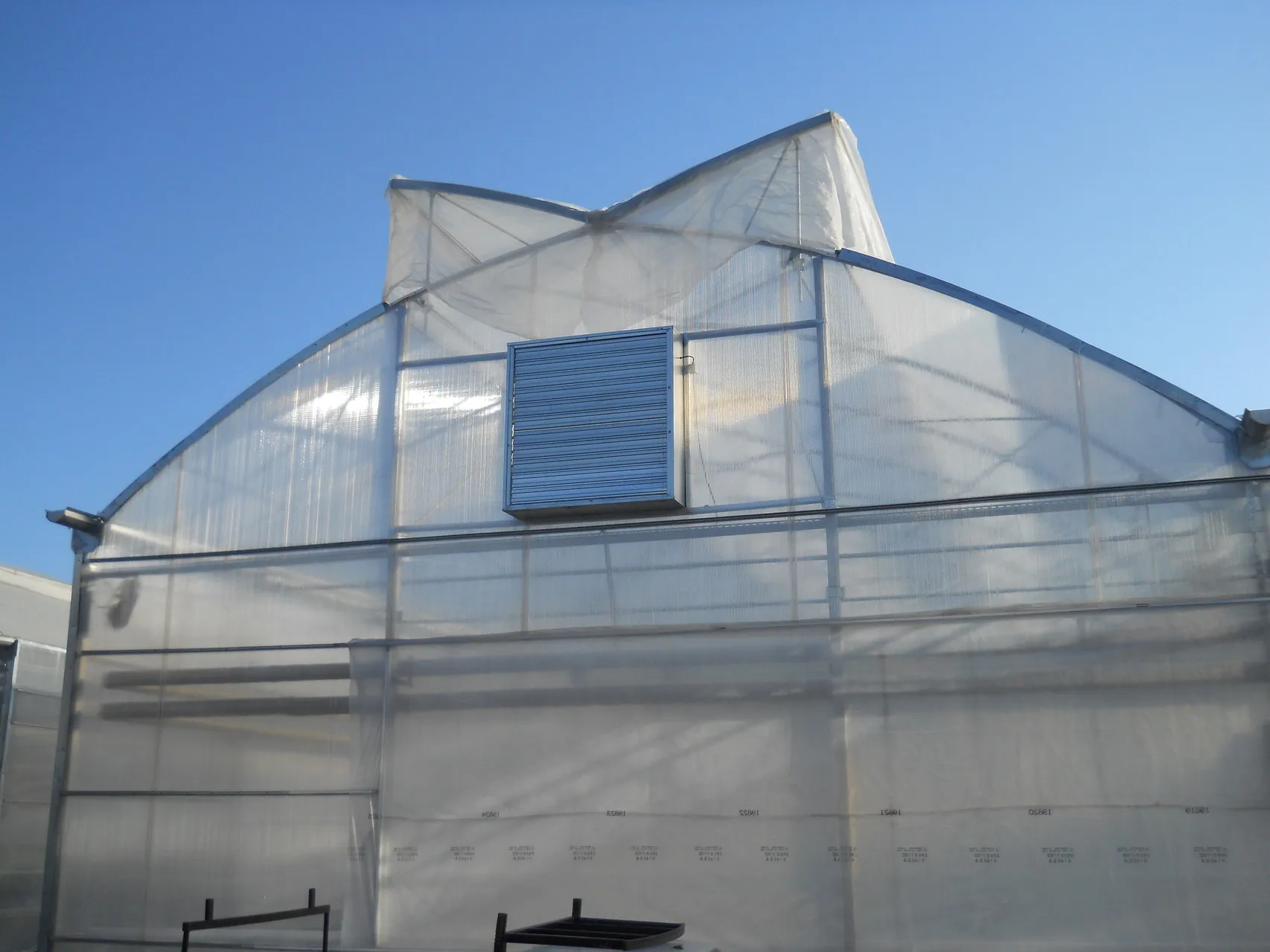 Good quality industrial film greenhouses for all-year vegetable and fruit growing, greenhouse metal frame