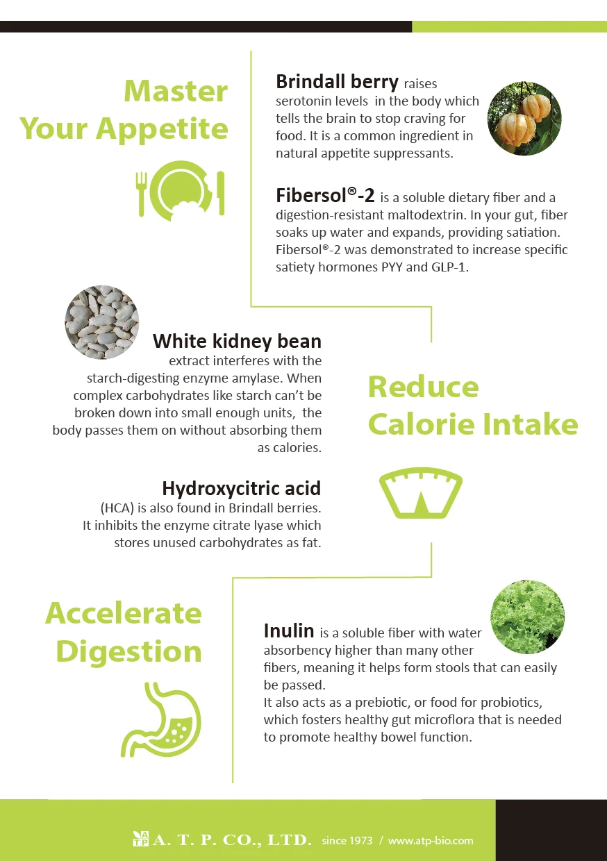 garcinia cambogia extract lemon slim drink weight loss slimming diet dietary health supplement beverage drink OEM ODM