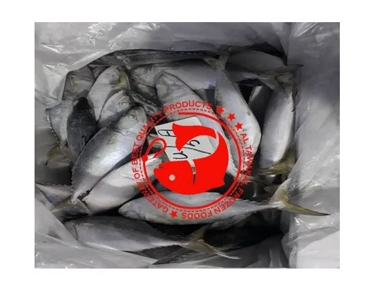 High Quality Halal Frozen Chicken/Feet/Paws Best 100% Purity Frozen Processed Chicken Feet From Pakistan