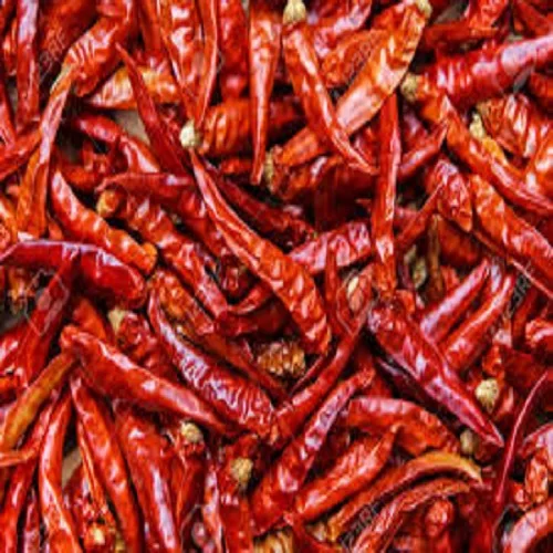 
 HOT NIGERIA  CHILI PEPPER  