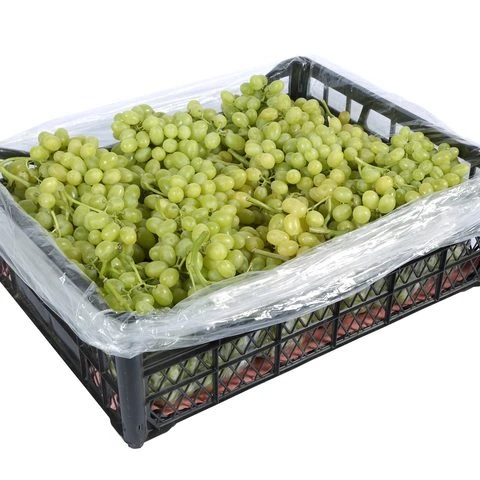 
Fresh Grape superior 