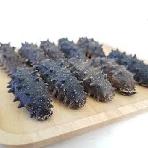 Dried Sea Cucumber / Fresh Frozen Sea Cucumber