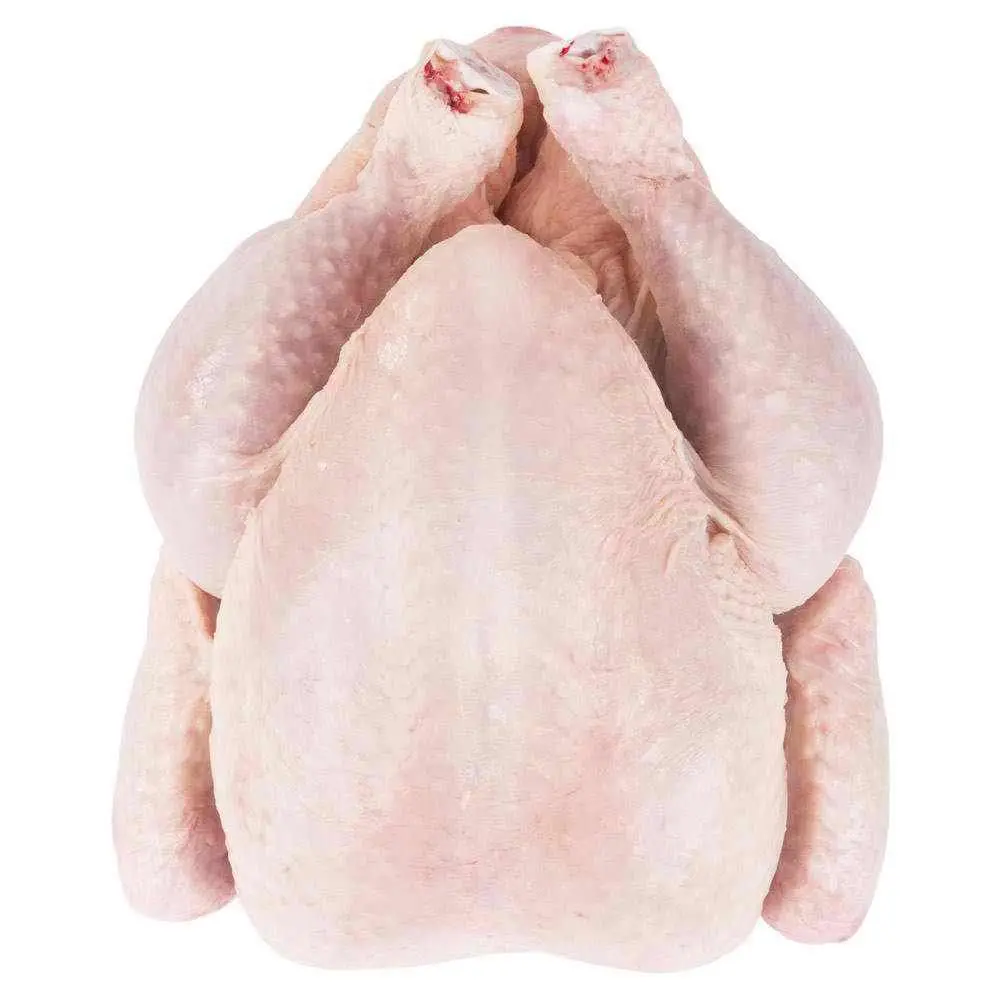 Best Quality Nutritious Frozen Whole Halal Chicken Top Supplier (USA and Austria Origin)