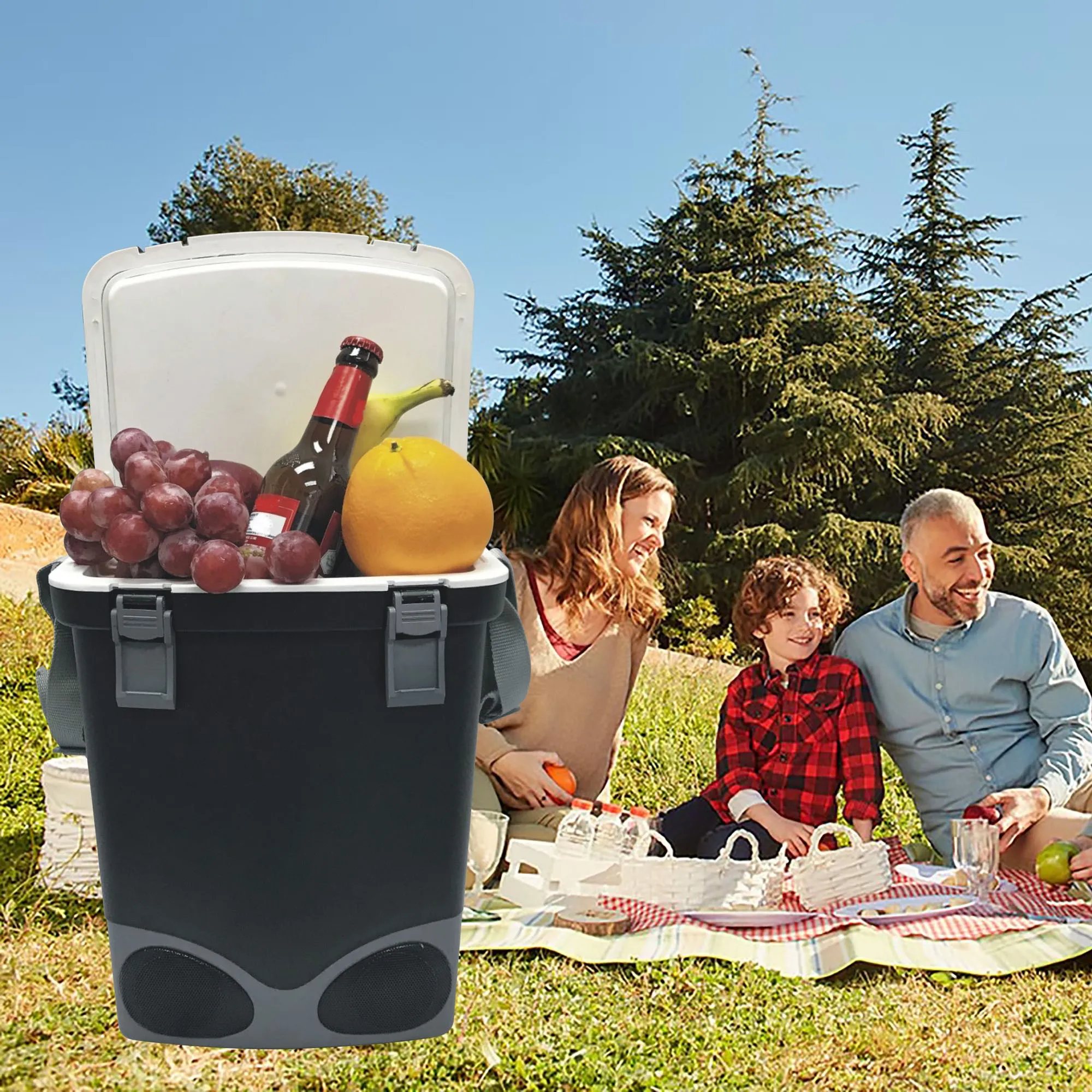 cooler and warmer box with wireless speaker