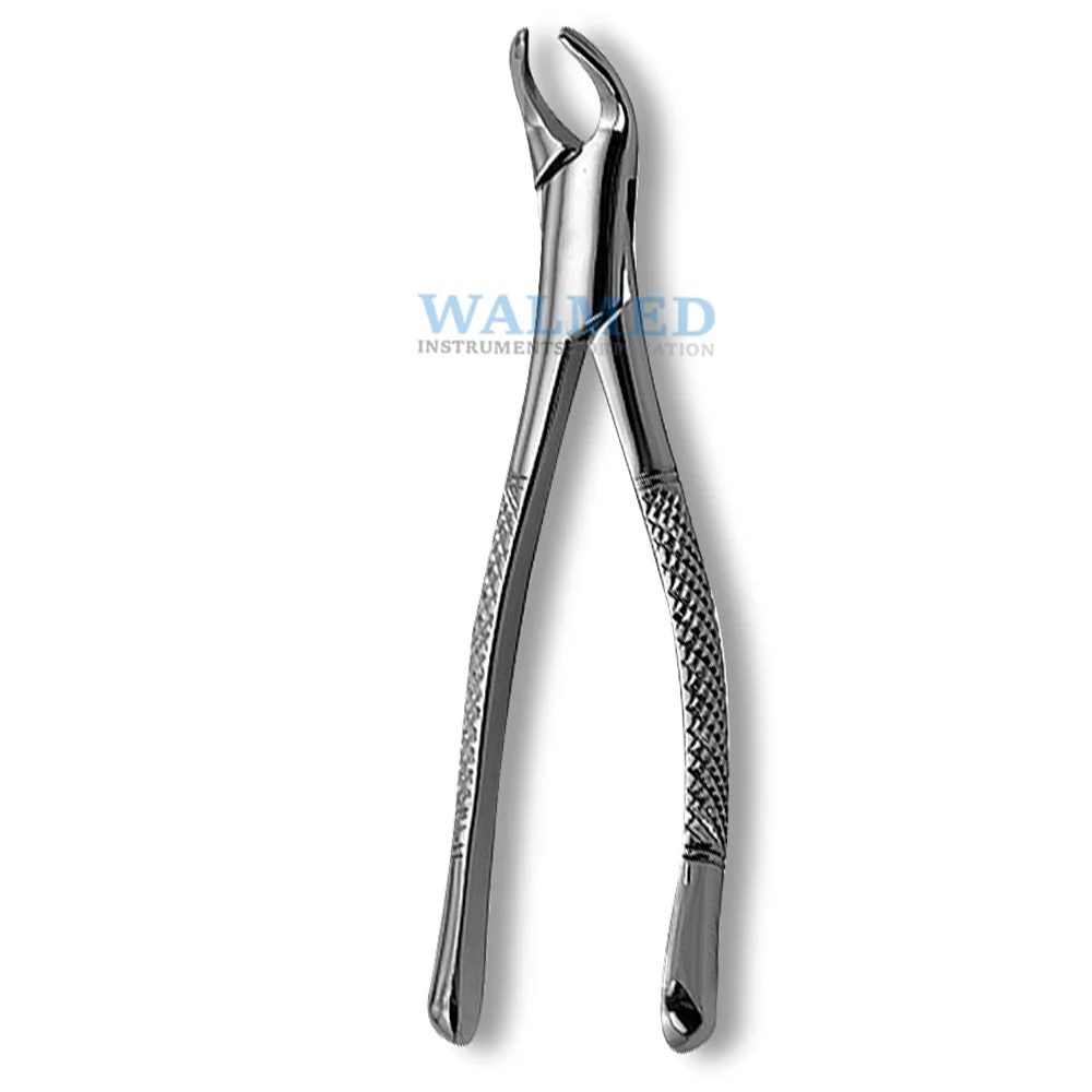 
Stainless Steel Dental Extracting Forceps For Sale / Dental Extracting Forceps 
