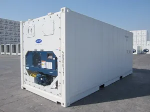 Standard Brand New 20FT 40FT Reefer Refrigerated Container Cheap Price