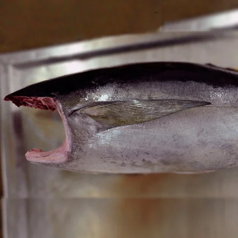 
Синий Марлин, рыба-меч 