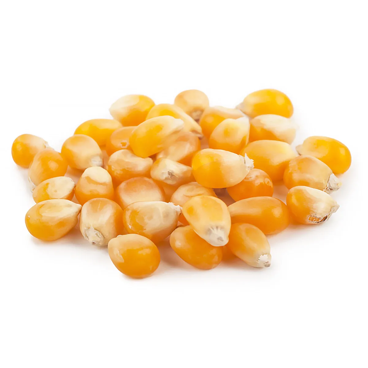 
Wholesale organic corn, cheap prices 