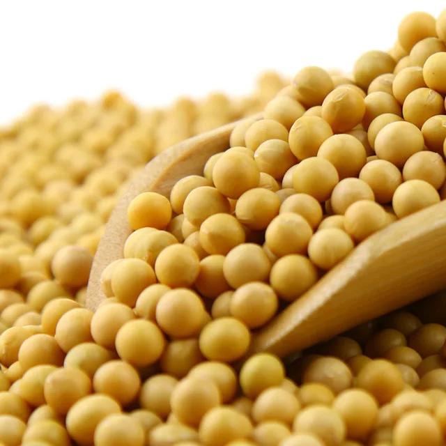 
Soybeans NON-GMO Soya Beans Soybeans Crop High Quality Soybean/Soya Bean Wholesale 