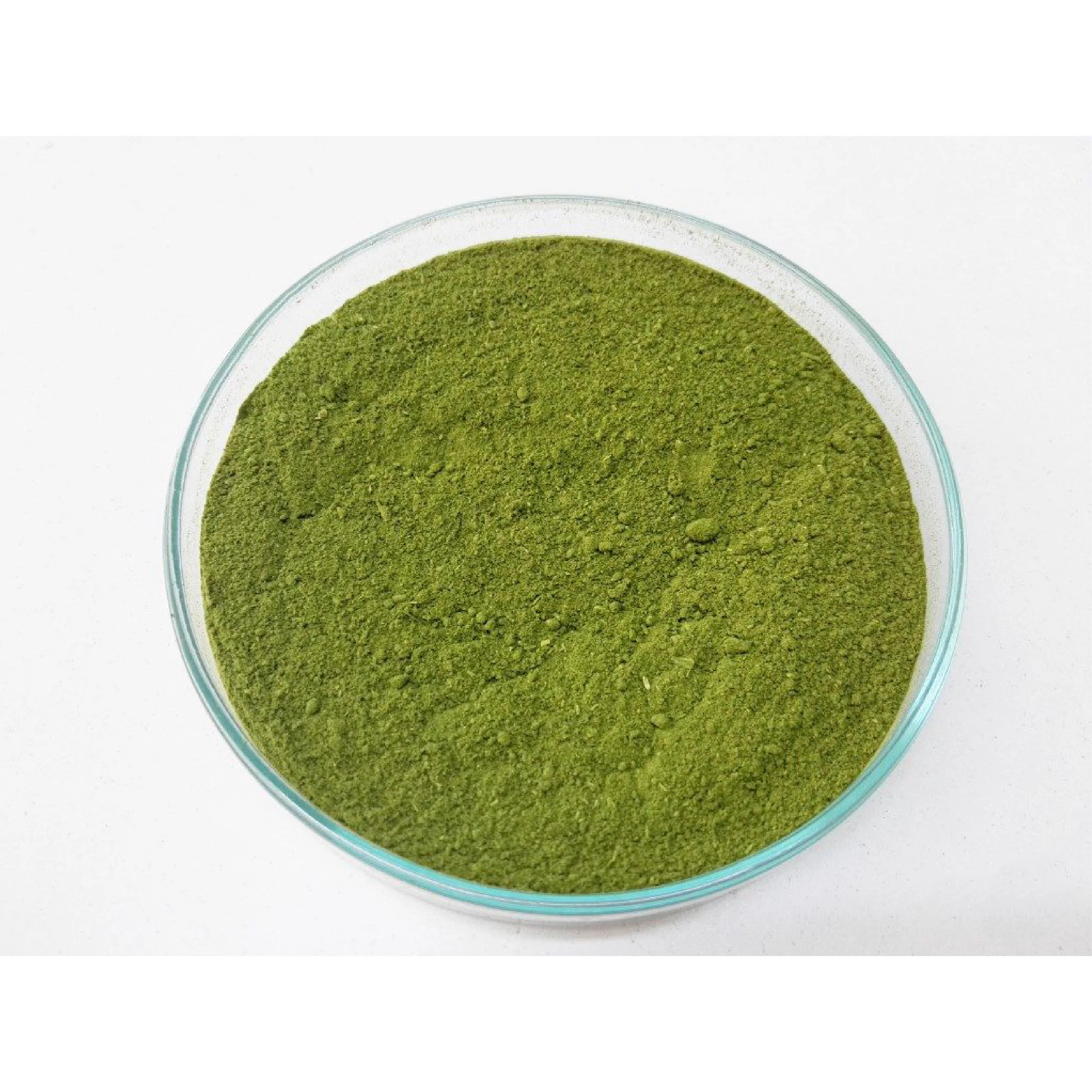 Organic Gymnema Extract Powder EU Organic Certified Gymnema Sylvestre Extract Wholesale From Thailand