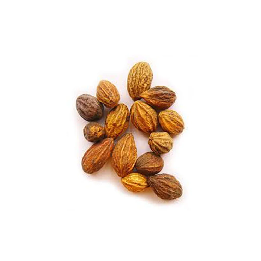 100% Natural Haritaki With Anti-Inflammatory & Antioxidant Properties Pure Made Terminalia Chebula Herbal Powder MOQ Supply