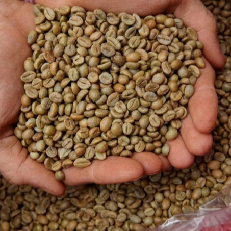 VIETNAM ROBUSTA COFFEE CHEAP PRICE FOR ALL CUSTOMERS | Whatsapp 0084 961 358 398