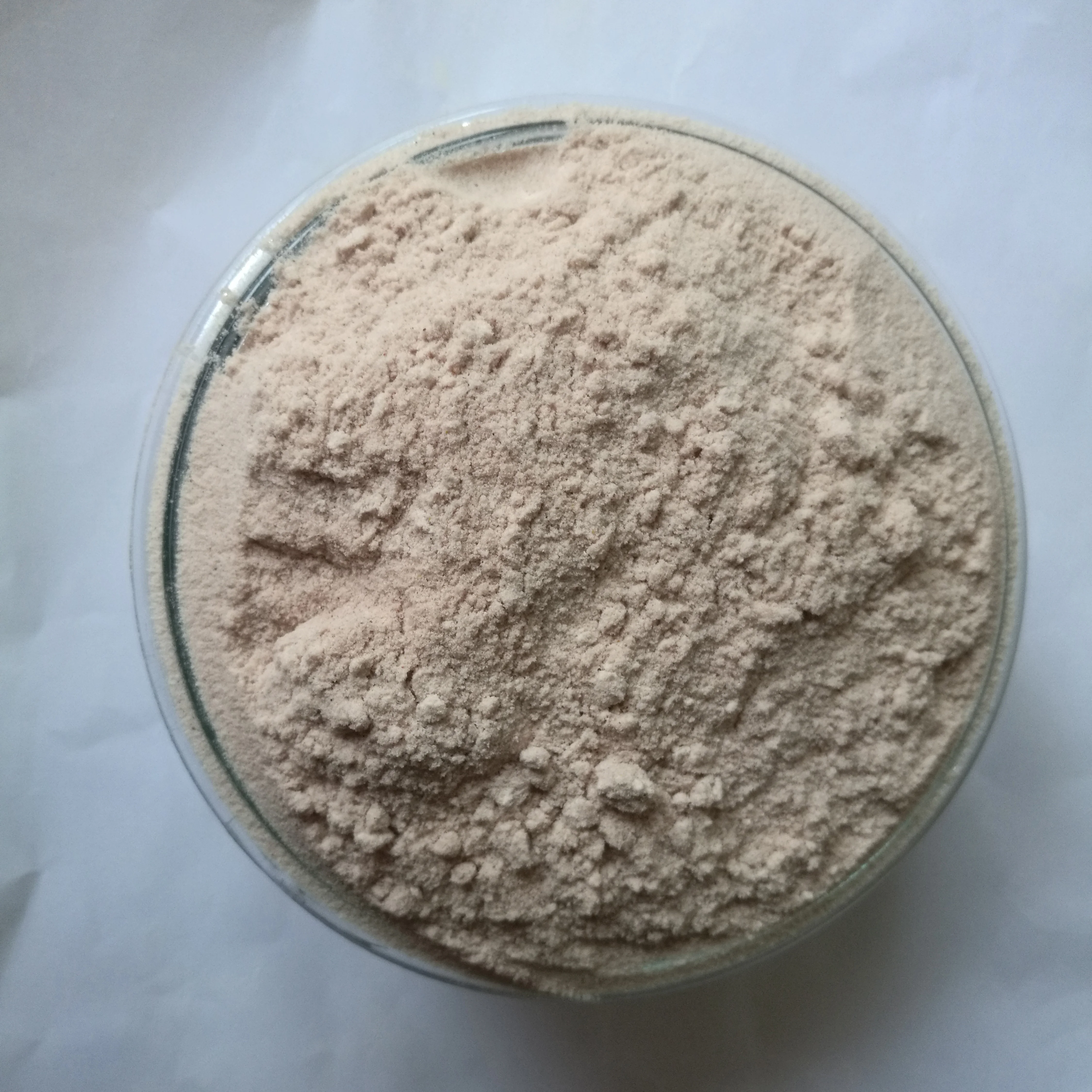 Whole natural high quality grain sorghum import