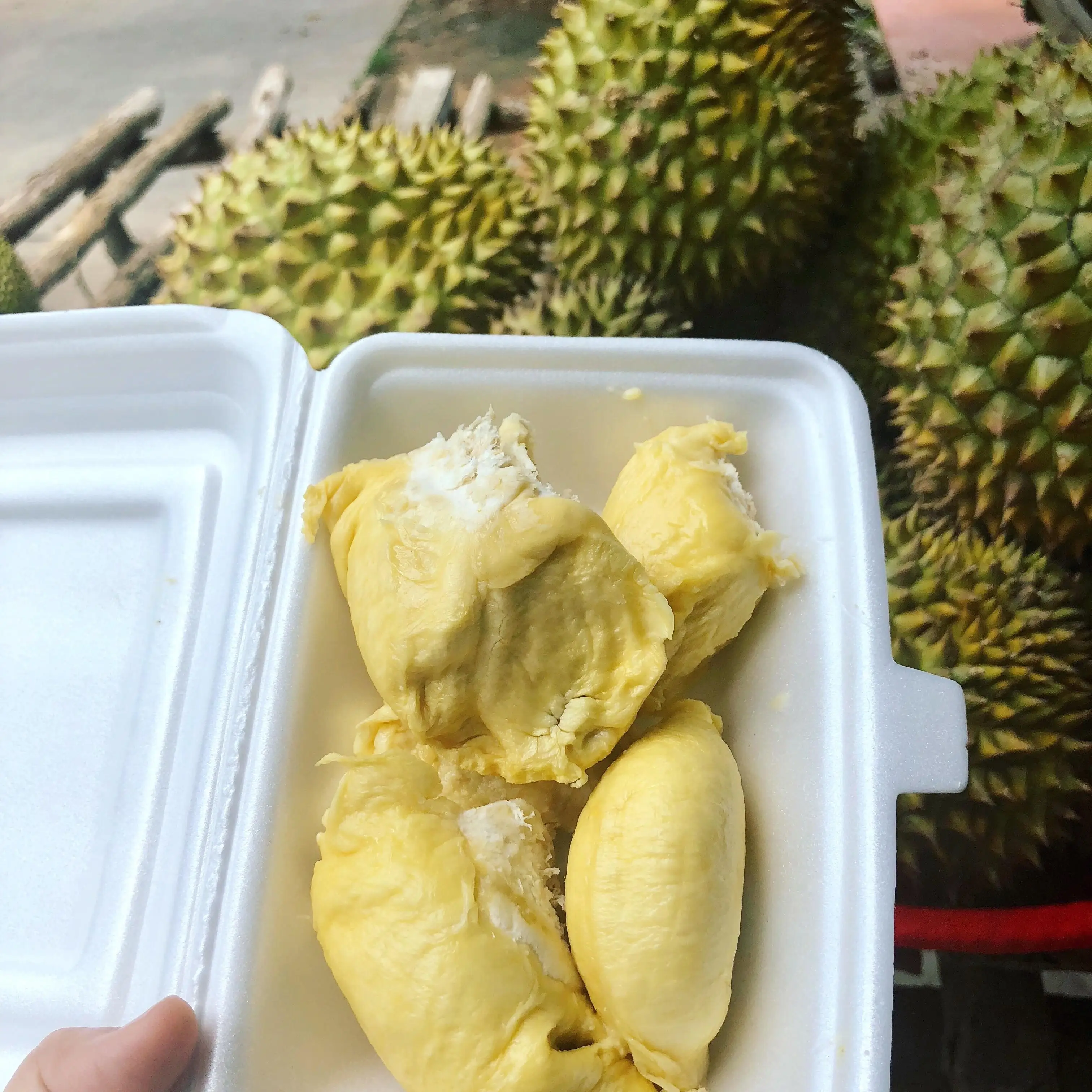 Высокое качество/Премиум заморозка мяса MONTHONG DURIAN из Вьетнама/мисс Триш + 84 984 696 874