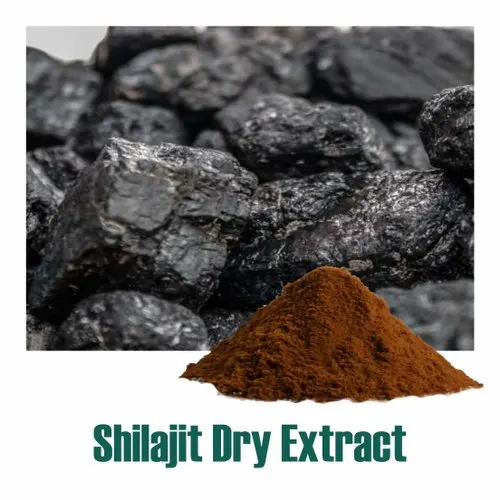 High Quality Shilajit Extract Powder Rich Fulvic Acid Also Available in Resin and Rock Form from Himalaya India