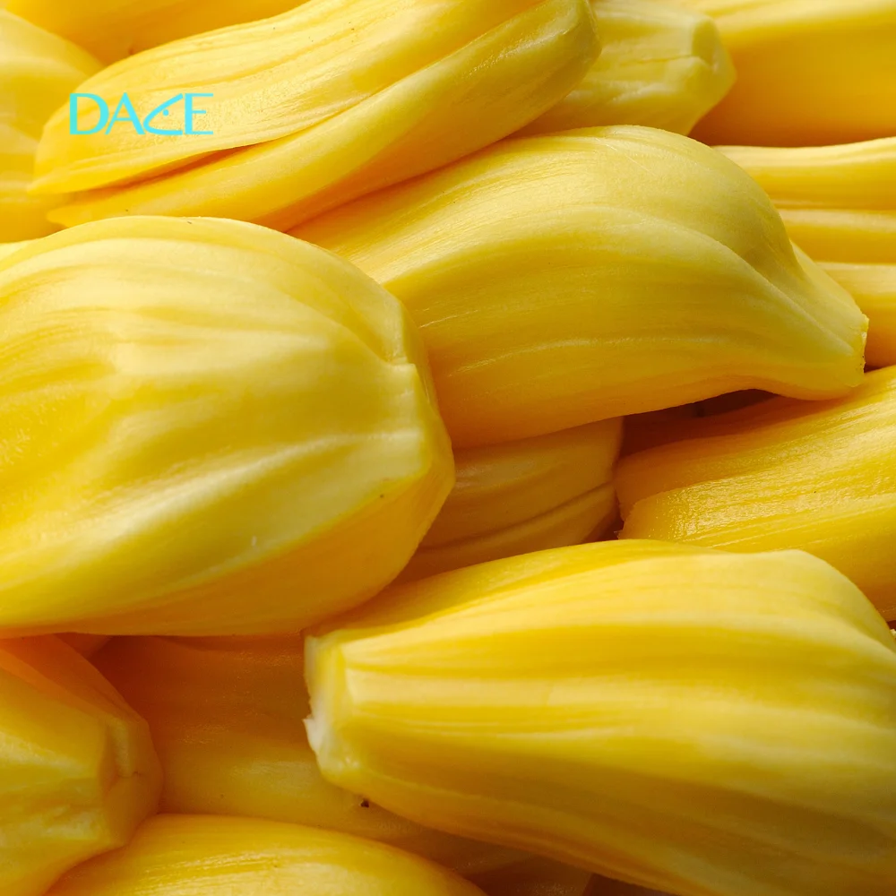 Vietnam Jackfruit For Export Cheap Price And Quick Response With High Quality And Carefully Packaged