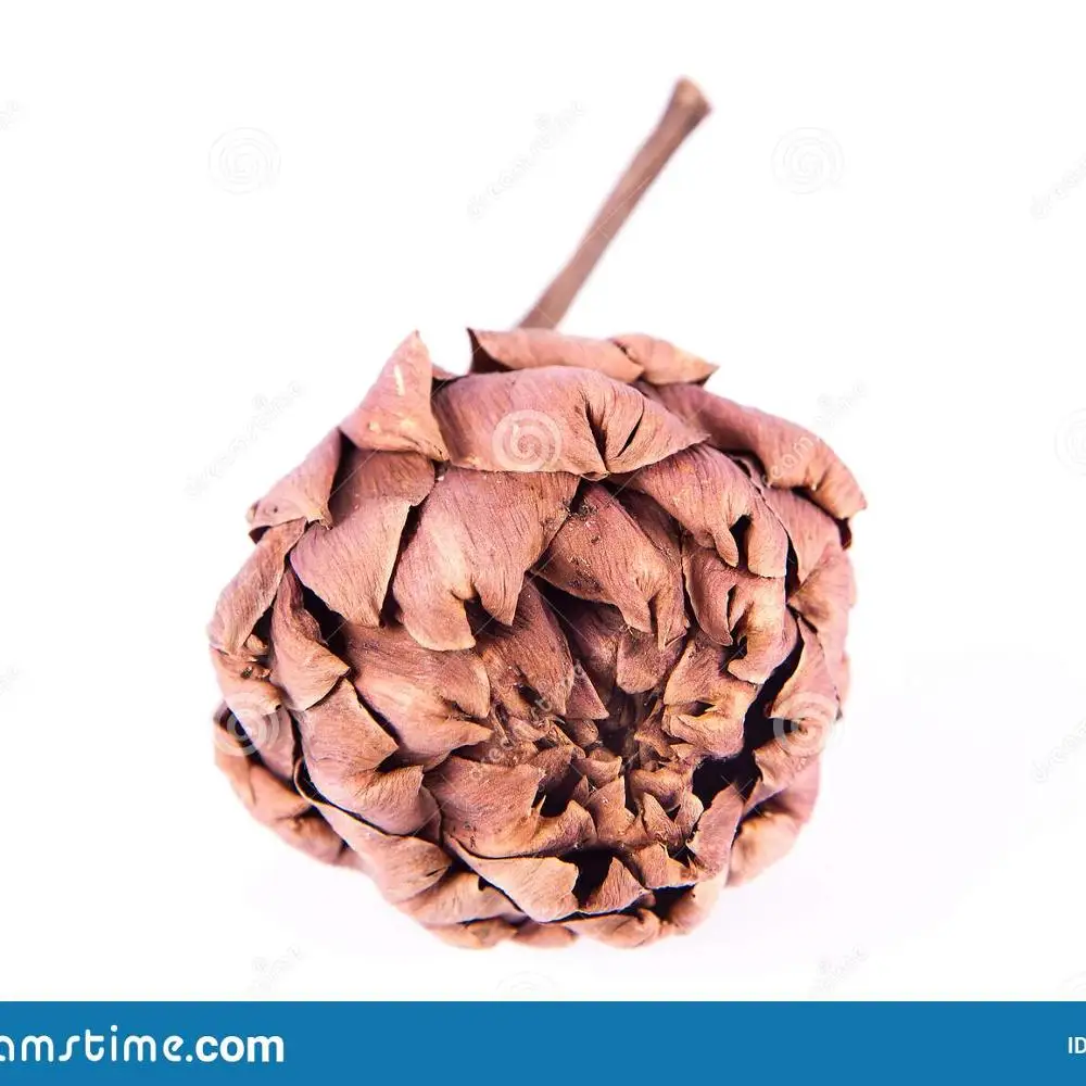 Vietnam artichoke tea - dried artichoke WITH BEST PRICE AND HIGH QUALITY FROM VIETNAM HOT SALE 2023