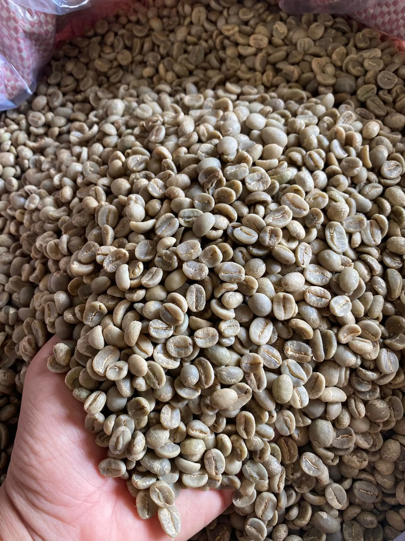 HIGH QUALITY Ru001DAW COFFEE BEANS ARABIA ROBUSTA -  WA: +84905010988