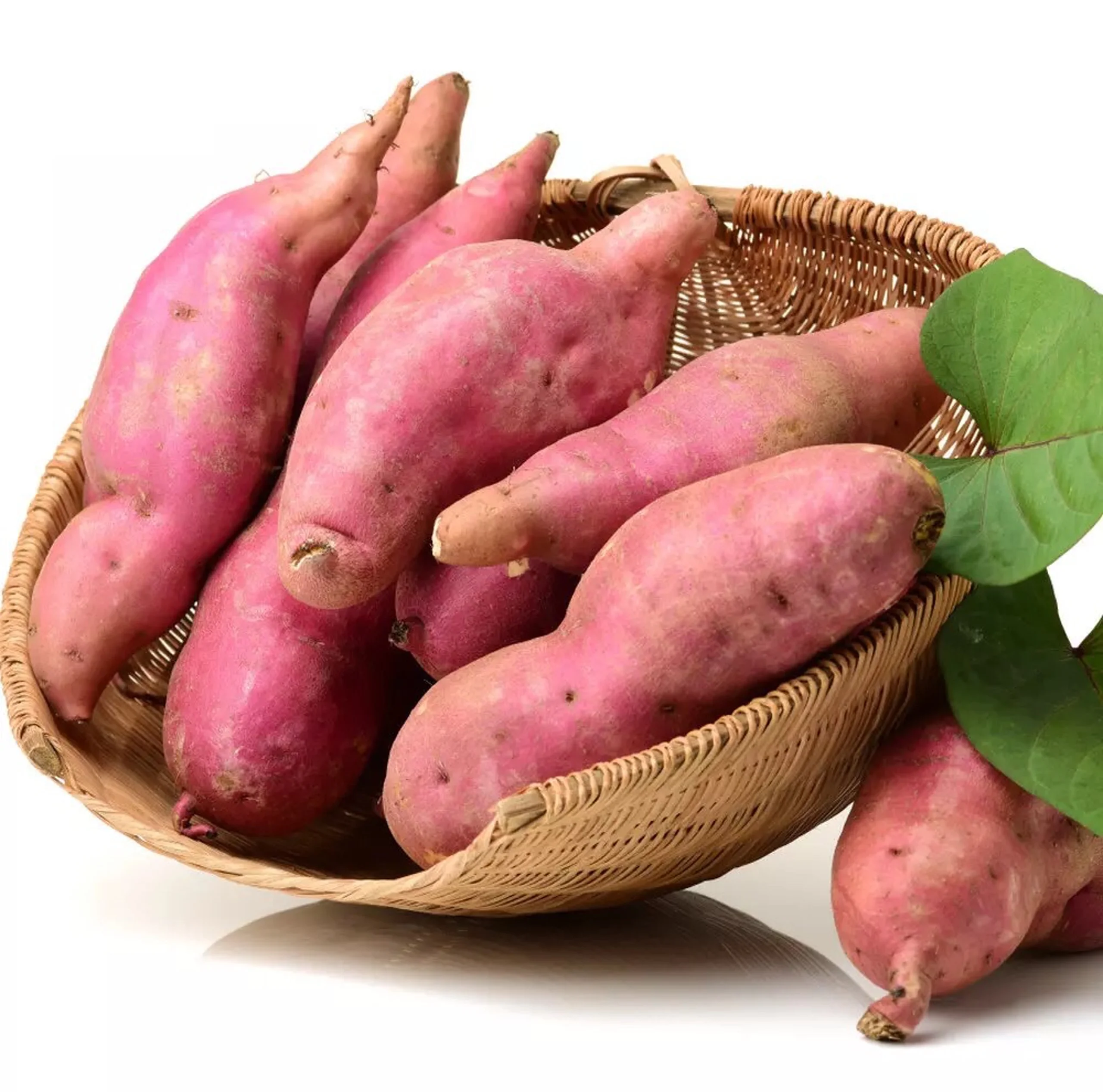 
New Crop Fresh Japanese Sweet Potato Cultivate in Vietnam Good Price For Wholesale 