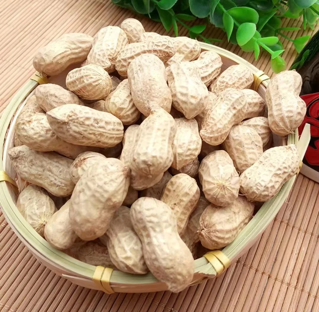 BEST QUALITY RED PEANUT FOR