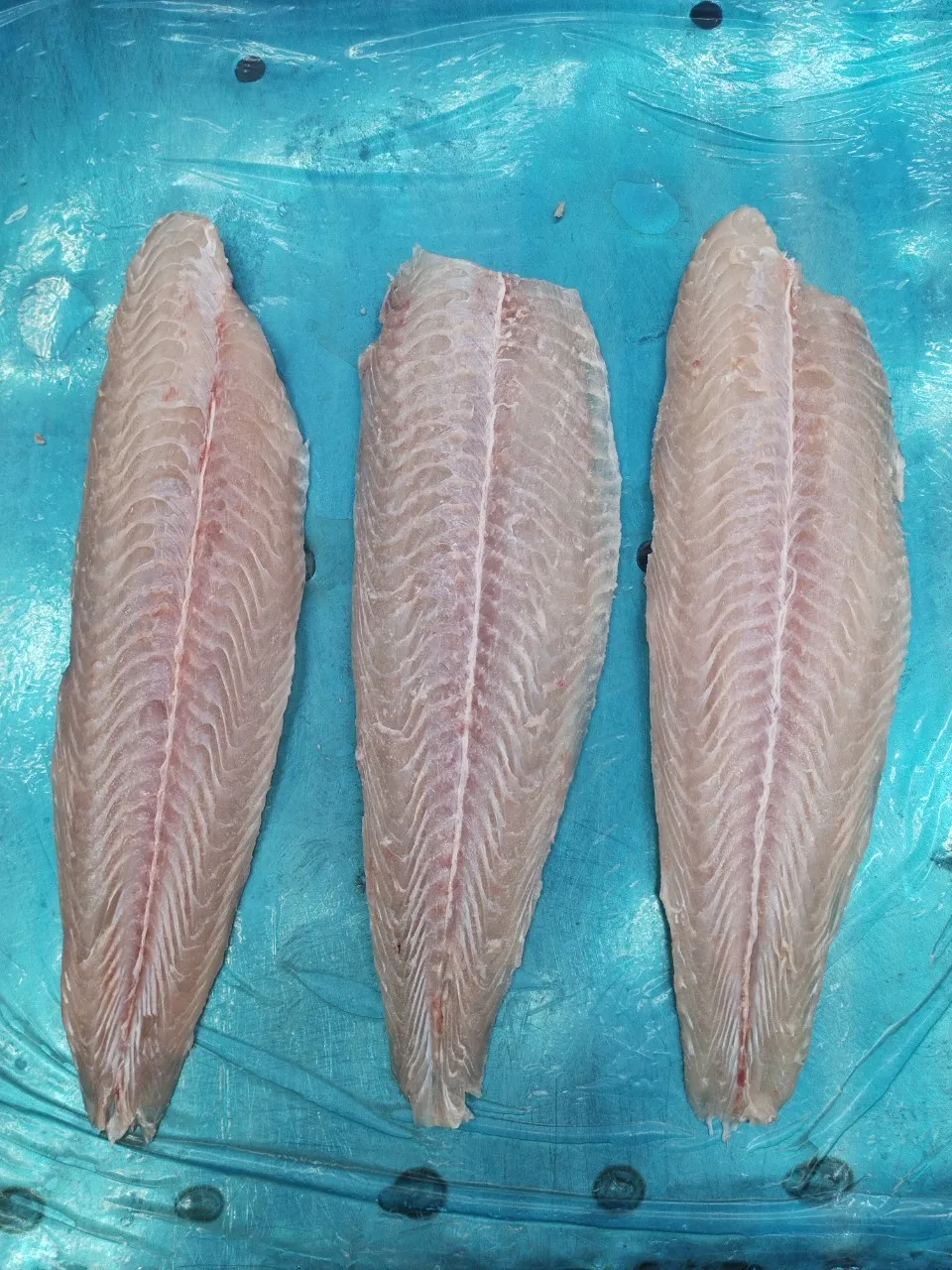Fresh and Nutritious Untreated Pangasius fillet, well-trimmed, Chemical Free