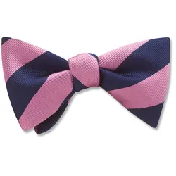 Beau Ties of Vermont | Academy Pink/Navy Bow Tie | Handcrafted in USA