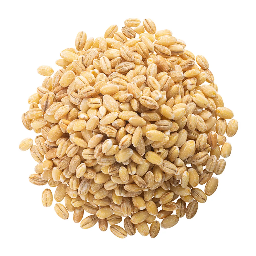 
Wholesale organic barley grain, forage seeds 