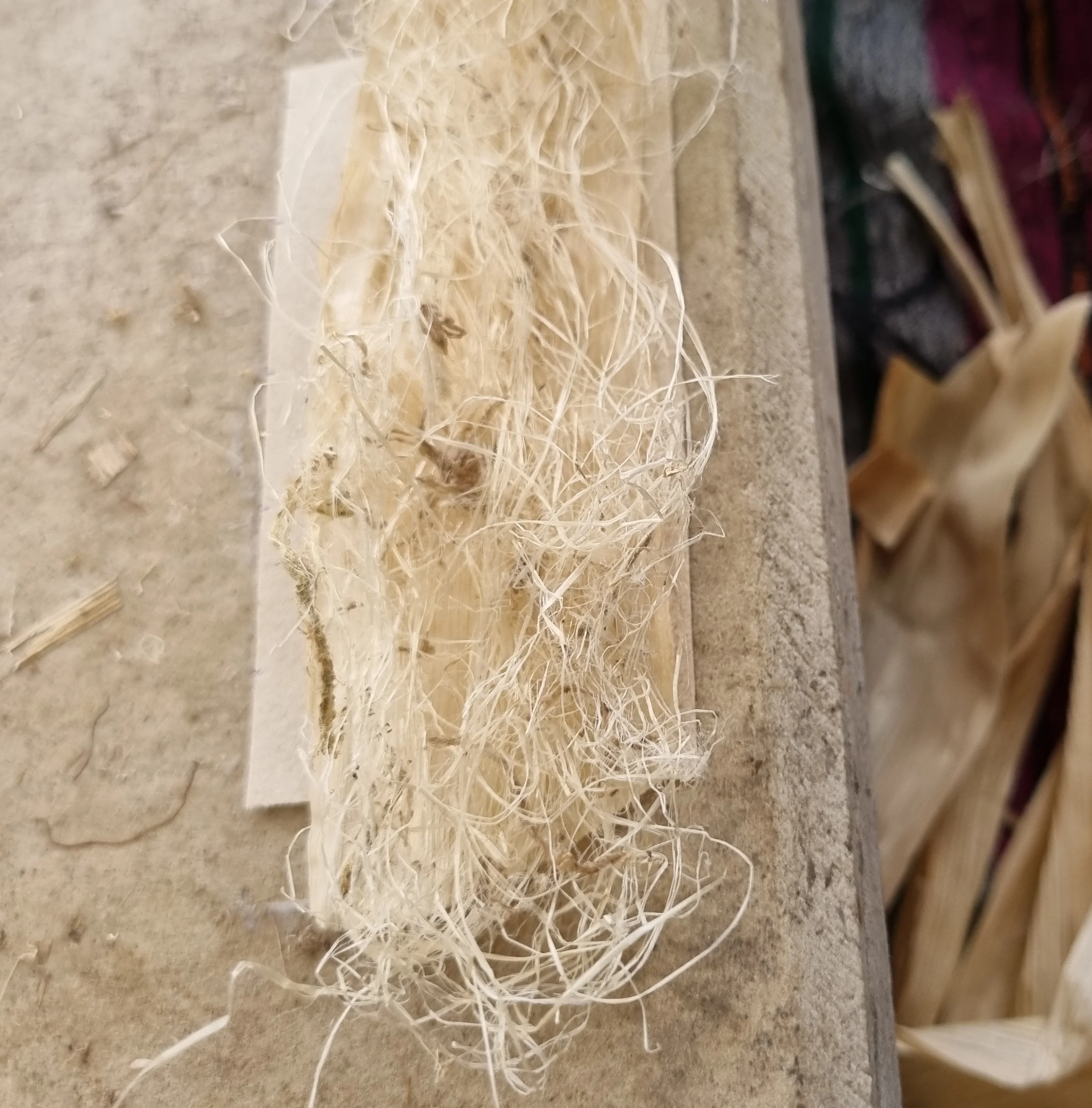 Rilters with Corn Husk & Plant Fiber.jpg
