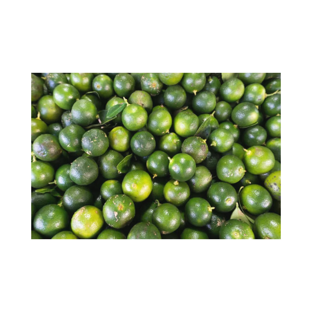 Ready To Ship LMC Taiwan Supplier Best Selling Calamansi Concentrated Juice Fruit Juice Beverages