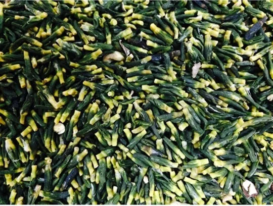 LOWEST PRICE HIGH QUALITY LOTUS TEA PRODUCT LOTUST HEART in VIET NAM 99 Gold Data