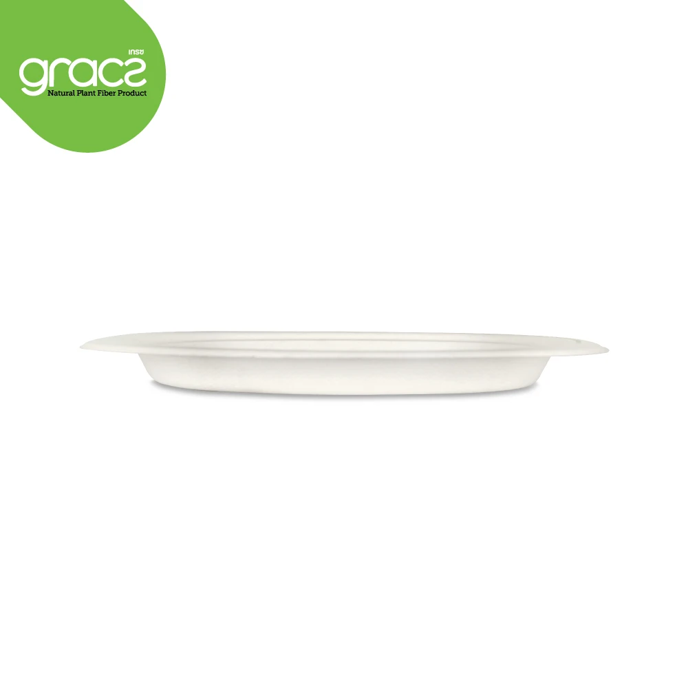 
Gracz P009 Oval Plate 6.5 inch Food Containers Sugarcane Pulp Packaging Compost from Thailand 