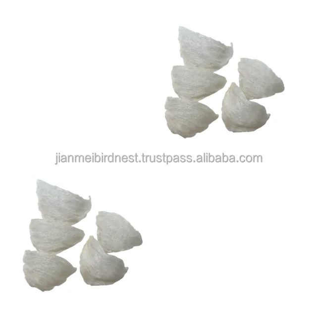 
Premium Birds Nest for body health can be eaten with family, namely Birds Nest San Jiao Yan Wo To 