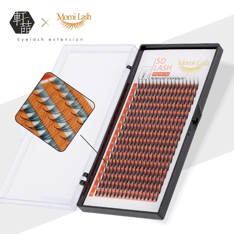 New Private Label 5D Premade Fans Lashes Vietnam Volume Eyelashes